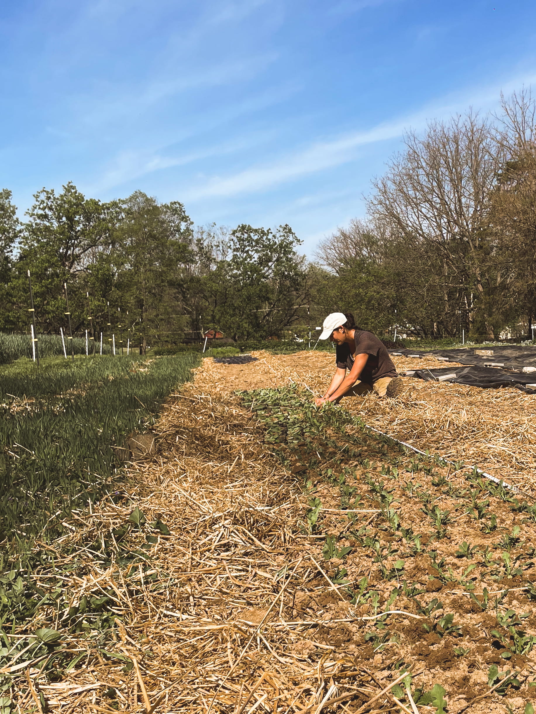 Friends helping in the field.